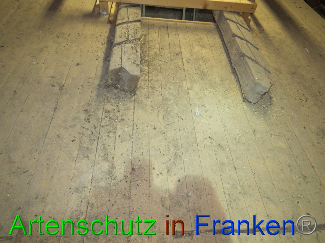 Bild zum Eintrag (1058417-160)