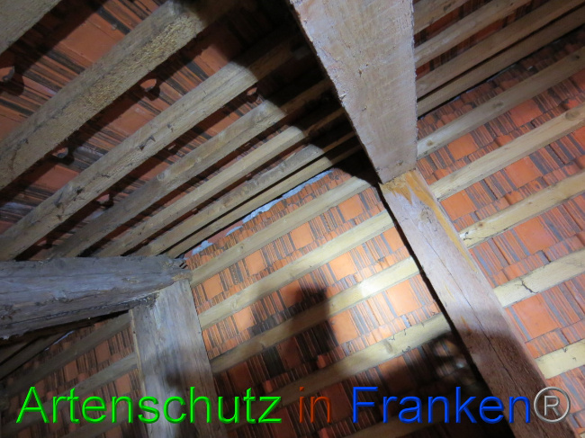 Bild zum Eintrag (1058419-160)