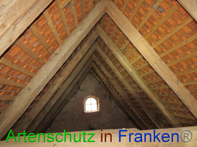 Bild zum Eintrag (1058420-160)