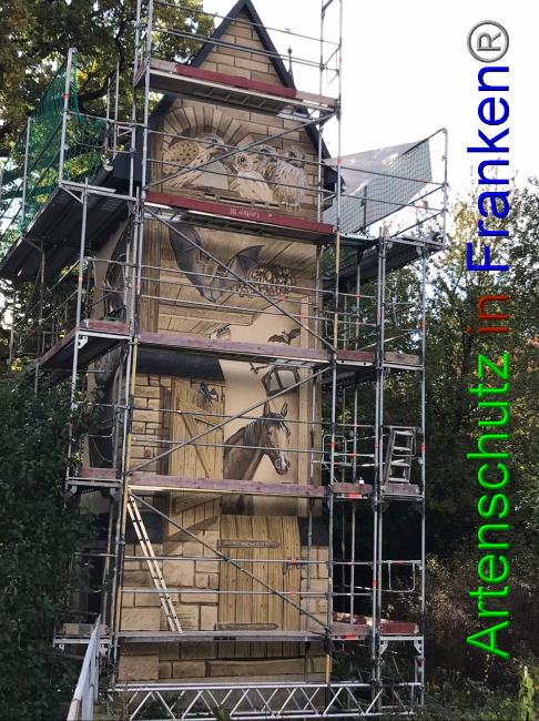 © Artenschutz in Franken® Bild zum Eintrag (1058434-160)
