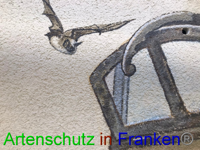 © Artenschutz in Franken® Bild zum Eintrag (1058435-160)