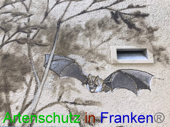© Artenschutz in Franken® Bild zum Eintrag (1058440-160)