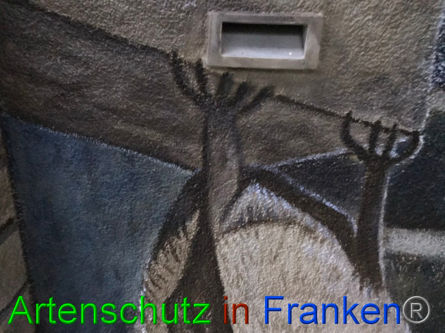 © Artenschutz in Franken® Bild zum Eintrag (1058500-160)