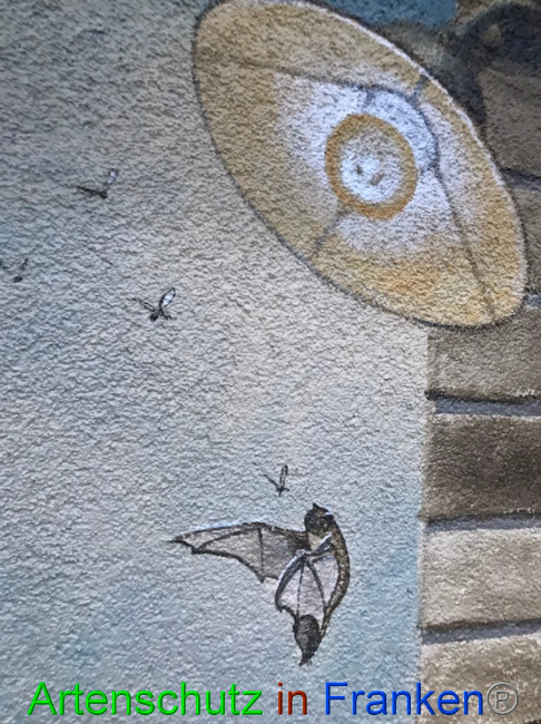 © Artenschutz in Franken® Bild zum Eintrag (1058504-160)