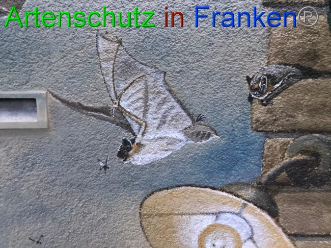 © Artenschutz in Franken® Bild zum Eintrag (1058505-160)