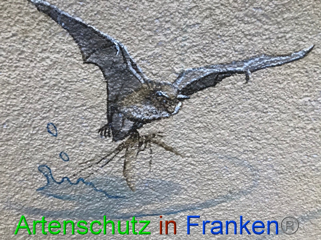© Artenschutz in Franken® Bild zum Eintrag (1058540-160)
