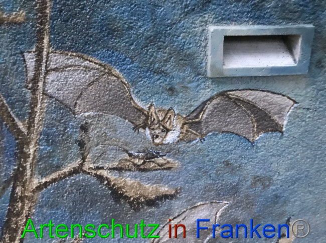 © Artenschutz in Franken® Bild zum Eintrag (1058541-160)