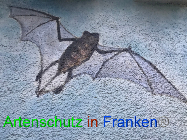 © Artenschutz in Franken® Bild zum Eintrag (1058545-160)