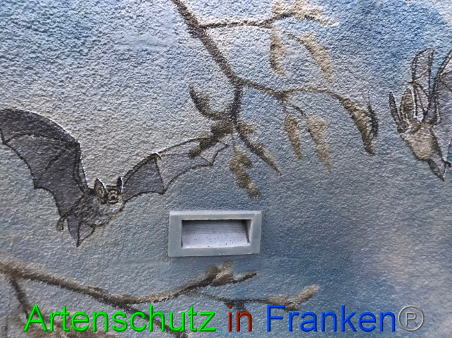 © Artenschutz in Franken® Bild zum Eintrag (1058546-160)