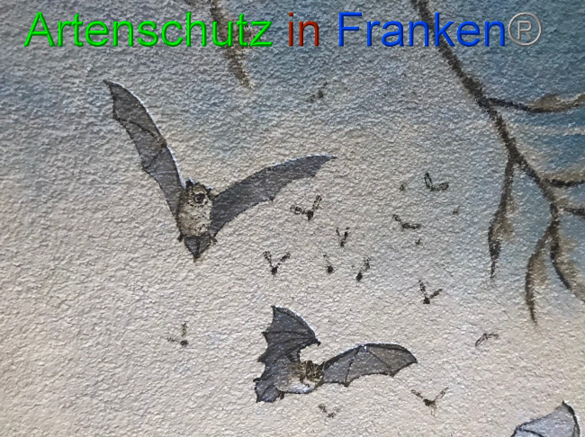 © Artenschutz in Franken® Bild zum Eintrag (1058549-160)