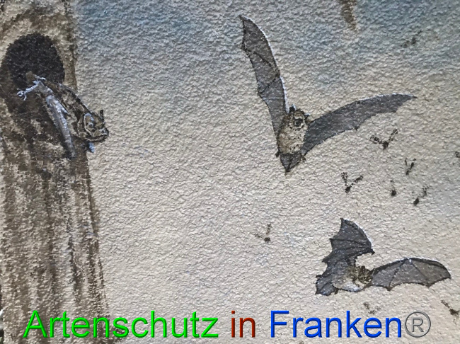 © Artenschutz in Franken® Bild zum Eintrag (1058550-160)