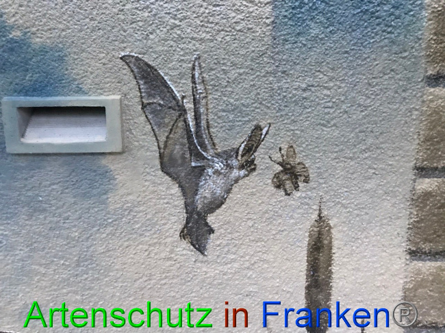 © Artenschutz in Franken® Bild zum Eintrag (1058551-160)