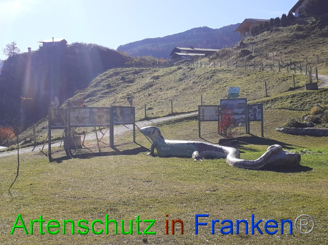 © Artenschutz in Franken® Bild zum Eintrag (1059047-160)