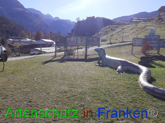 © Artenschutz in Franken® Bild zum Eintrag (1059049-160)