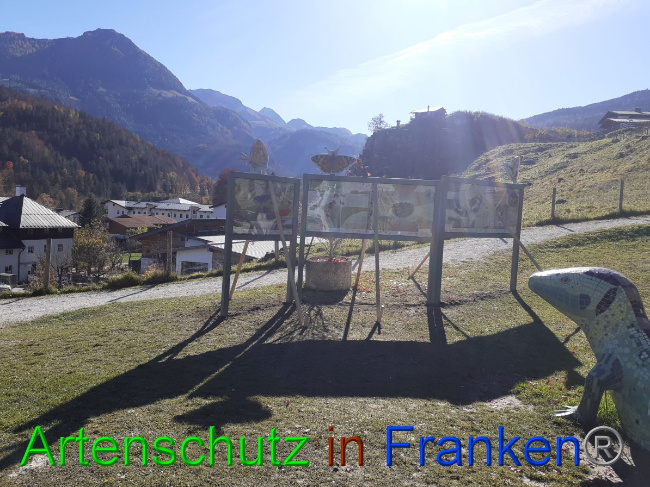 © Artenschutz in Franken® Bild zum Eintrag (1059052-160)