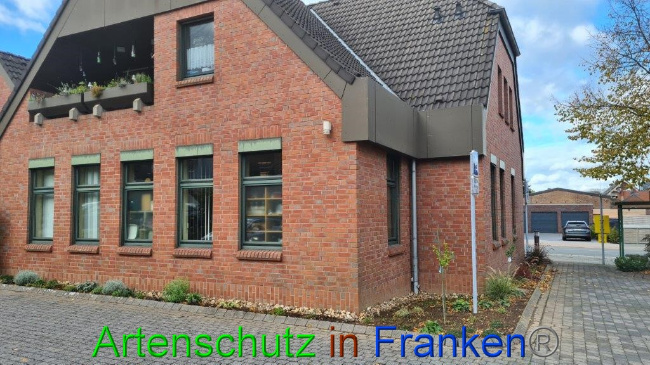 © Artenschutz in Franken® / Sonfeld Bild zum Eintrag (1059079-160)