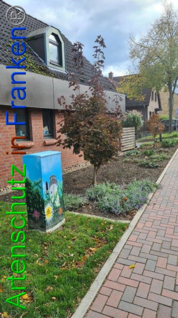 © Artenschutz in Franken® / Sonfeld Bild zum Eintrag (1059081-160)
