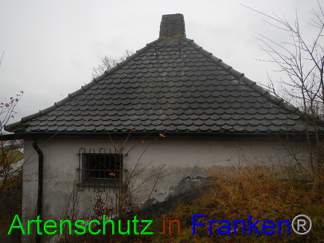 © Artenschutz in Franken® Bild zum Eintrag (1059275-160)