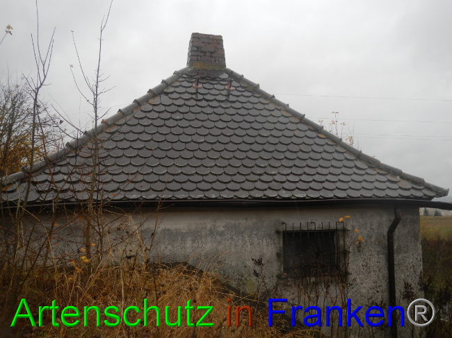 © Artenschutz in Franken® Bild zum Eintrag (1059285-160)