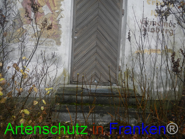 © Artenschutz in Franken® Bild zum Eintrag (1059296-160)