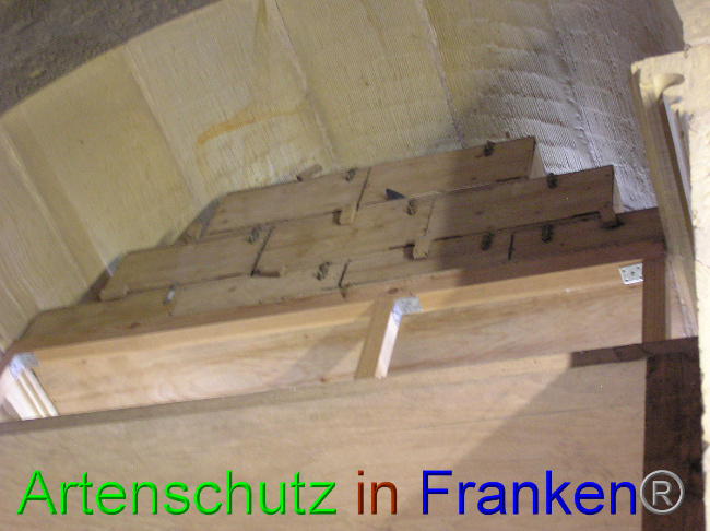 © Artenschutz in Franken® / Kunze Bild zum Eintrag (1059307-160)