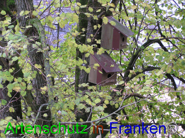 © Artenschutz in Franken® Bild zum Eintrag (1059341-160)