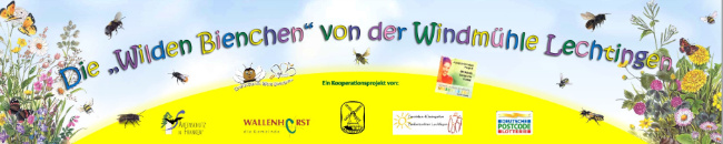 Bild zum Eintrag (1059505-160)