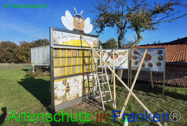 Bild zum Eintrag (1059509-160)
