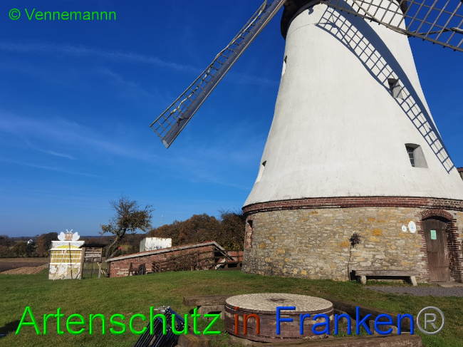 Bild zum Eintrag (1059510-160)