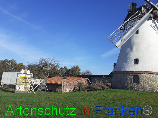 © Artenschutz in Franken® Bild zum Eintrag (1059516-160)