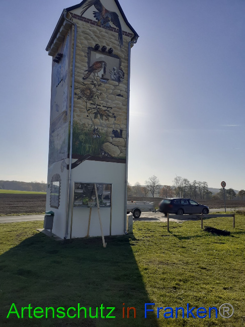 © Artenschutz in Franken® Bild zum Eintrag (1059528-160)