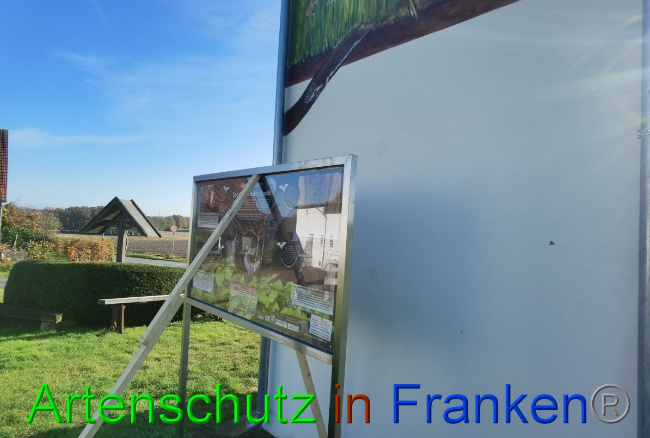 © Artenschutz in Franken® Bild zum Eintrag (1059529-160)