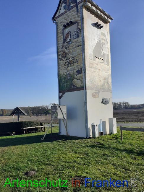 © Artenschutz in Franken® Bild zum Eintrag (1059530-160)