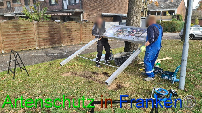 © Artenschutz in Franken® / Sonfeld Bild zum Eintrag (1059697-160)