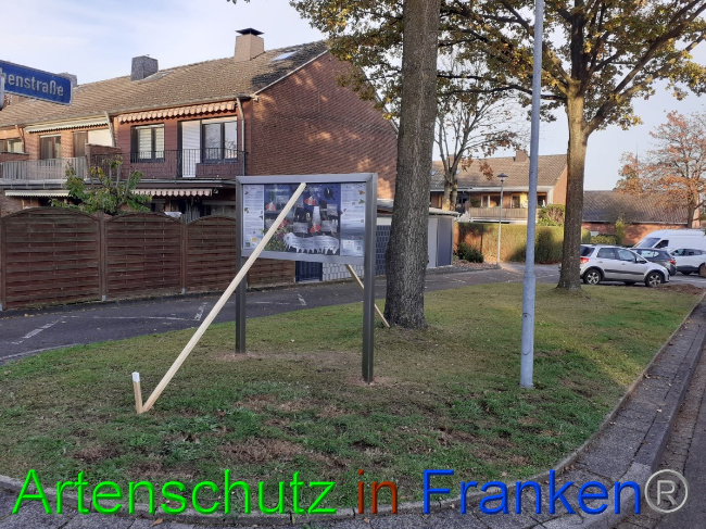 © Artenschutz in Franken® / Sonfeld Bild zum Eintrag (1059701-160)