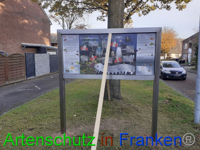 © Artenschutz in Franken® / Sonfeld Bild zum Eintrag (1059702-160)