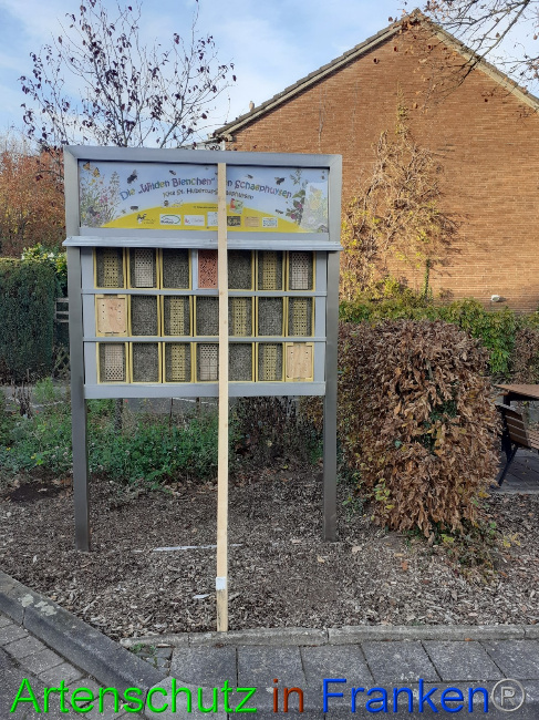 © Artenschutz in Franken® Bild zum Eintrag (1059713-160)