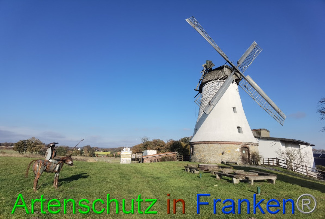 Bild zum Eintrag (1059849-160)
