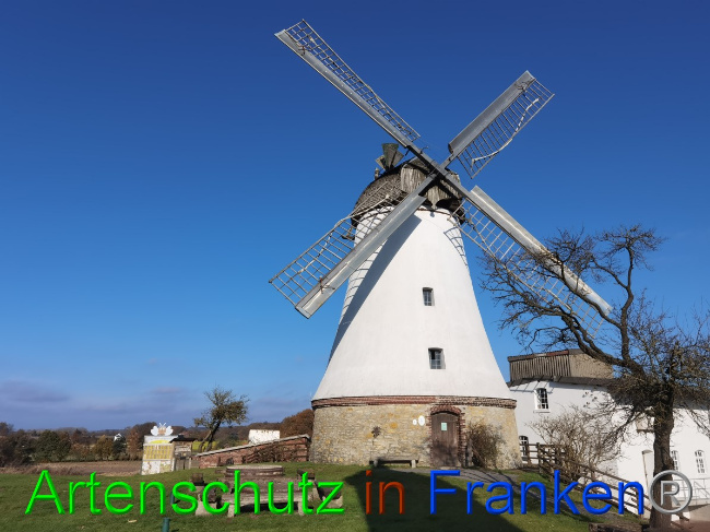 Bild zum Eintrag (1059850-160)