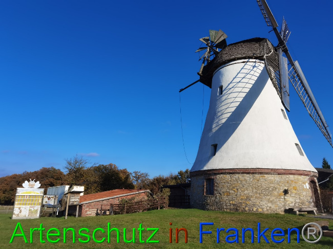 Bild zum Eintrag (1059851-160)
