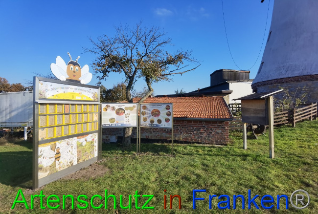 Bild zum Eintrag (1059855-160)