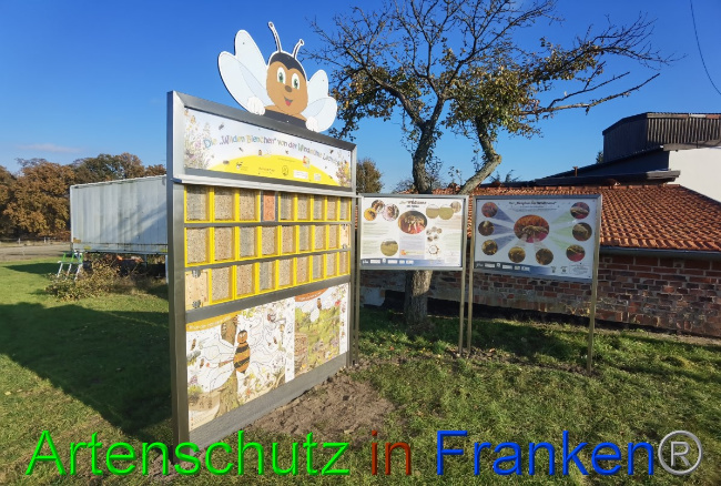 © Artenschutz in Franken® / Vennemann Bild zum Eintrag (1059857-160)