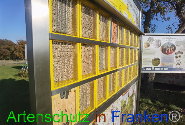 © Artenschutz in Franken® / Vennemann Bild zum Eintrag (1059858-160)