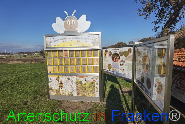 © Artenschutz in Franken® / Vennemann Bild zum Eintrag (1059861-160)