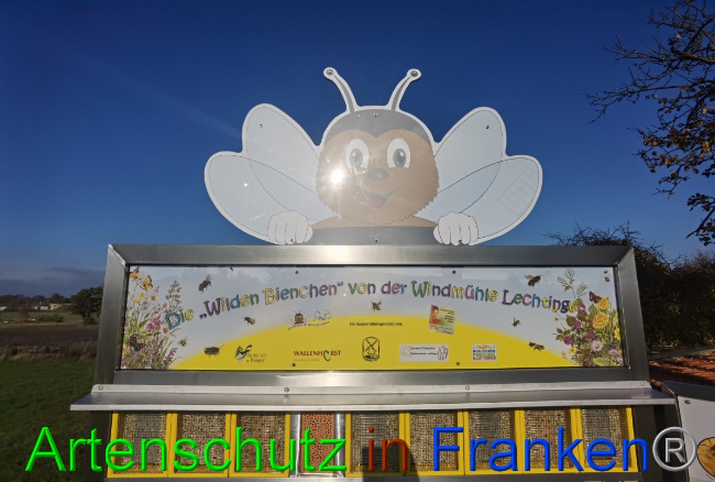 © Artenschutz in Franken® / Vennemann Bild zum Eintrag (1059862-160)