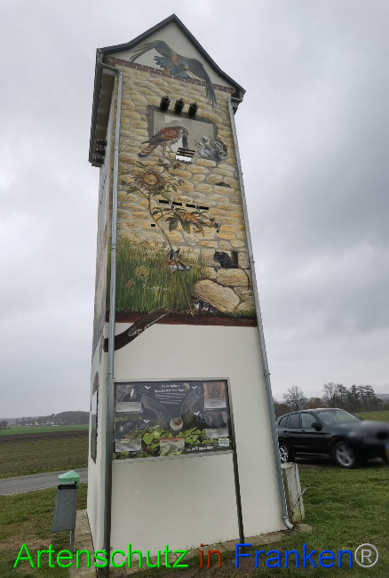 © Artenschutz in Franken® / Vennemann Bild zum Eintrag (1059869-160)