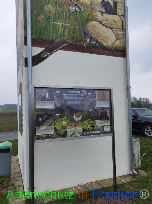 © Artenschutz in Franken® / Vennemann Bild zum Eintrag (1059870-160)