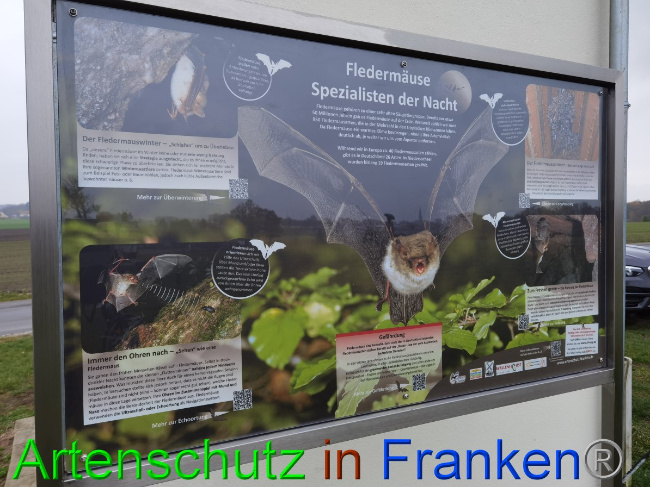 © Artenschutz in Franken® / Vennemann Bild zum Eintrag (1059871-160)