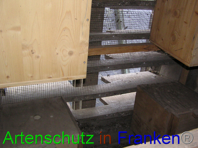 © Artenschutz in Franken® / Kunze Bild zum Eintrag (1059953-160)