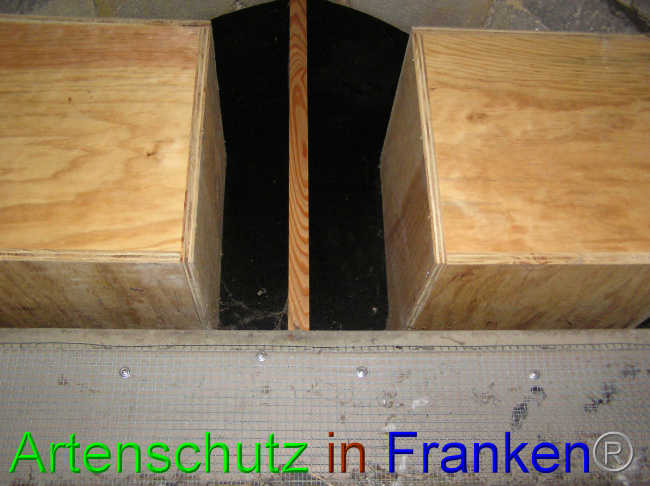 © Artenschutz in Franken® / Kunze Bild zum Eintrag (1059955-160)